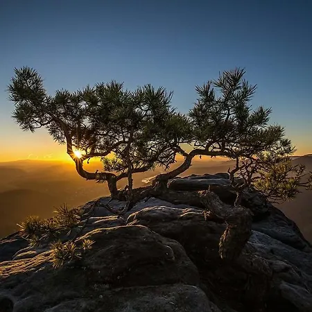 Ferienhaus Richter *